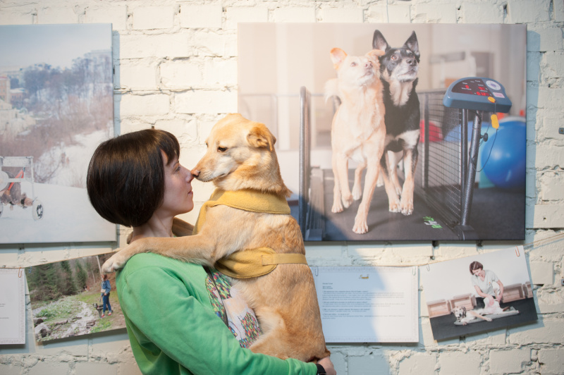 "Чотирилапе alter ego": як у Києві пройшла акція "Art to Help" (фото)